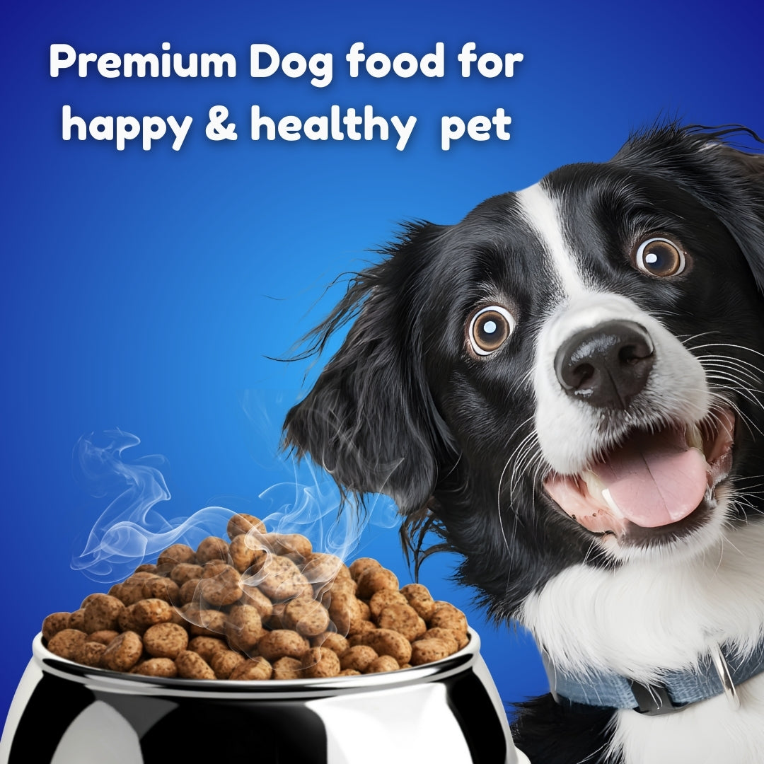 Healthy Meals for Happy Dogs