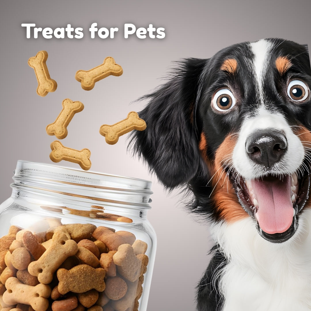 Nutritious Treats for All Dogs